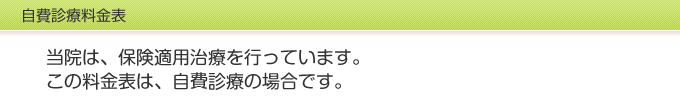 自費診療料金表　当院は、保険適用治療を行っています。この料金表は、自費診療の場合です。